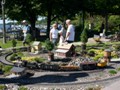 Newly arrived minature trees awaited 
planting on a nice summer day.